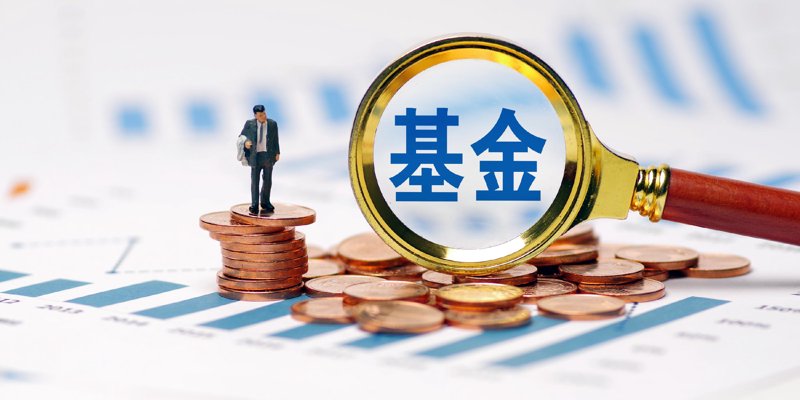 行业动态:解读投资管理公司的角色与价值